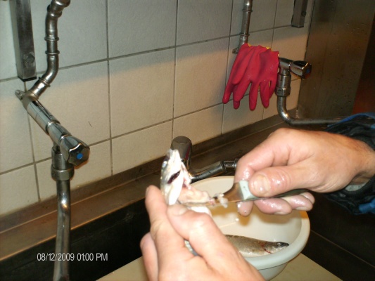 HPIM3167.JPG